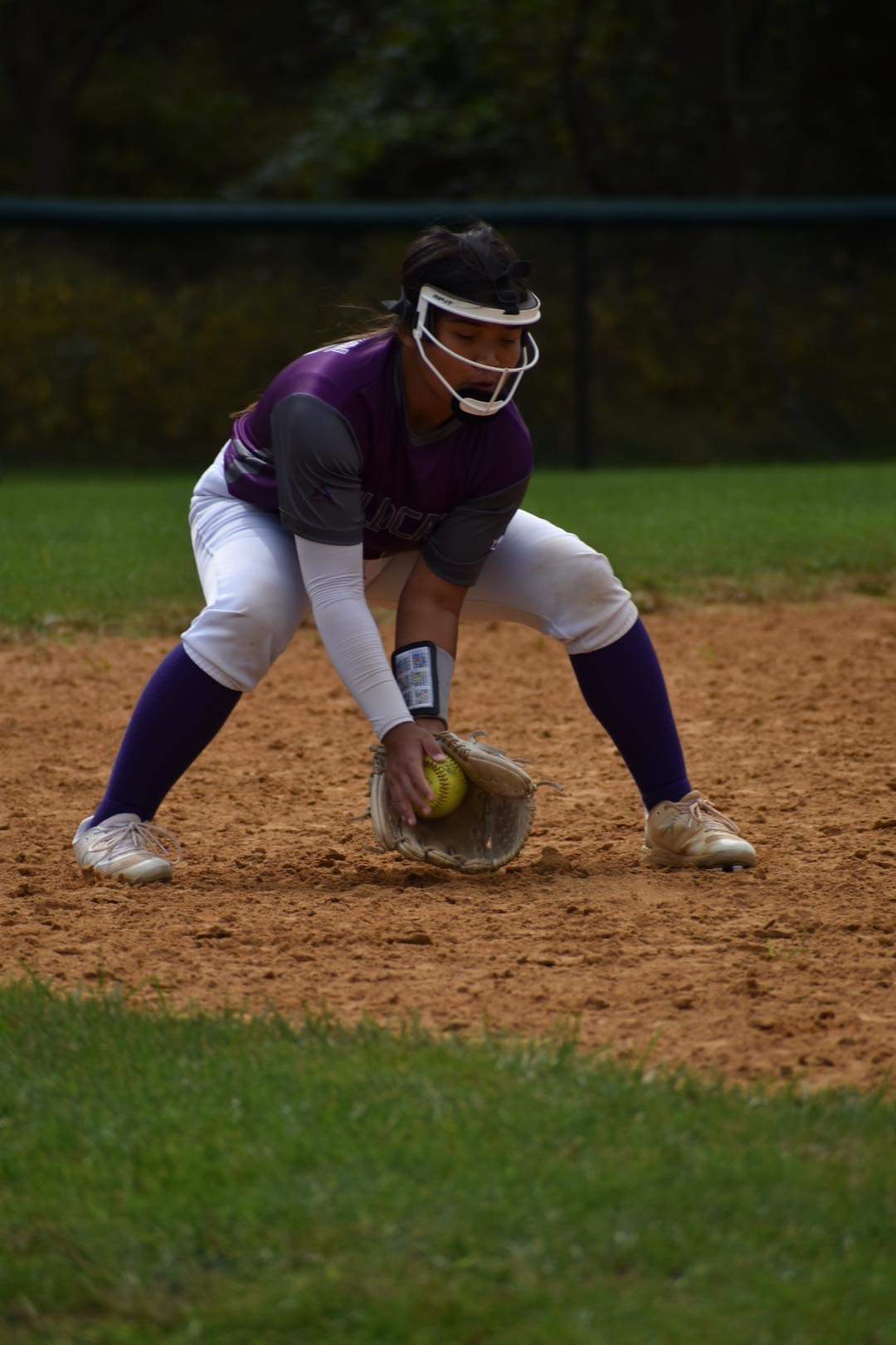 Check out the academic portfolio of the college softball player Elyssa Jamandron